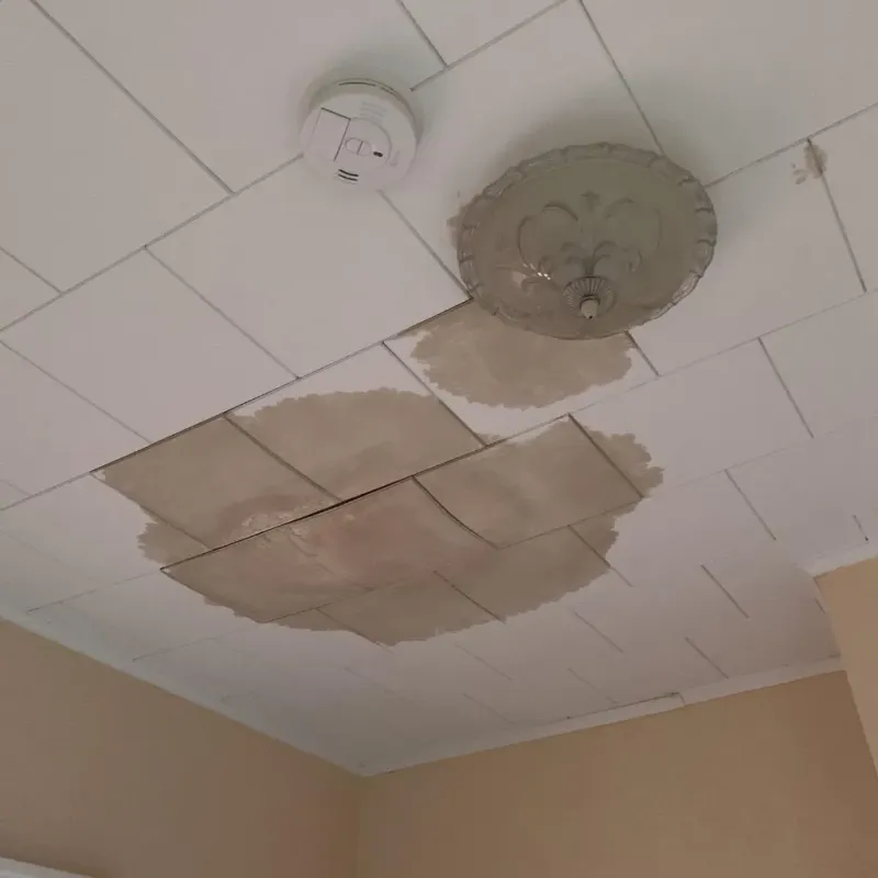 Ceiling Water Damage Repair in Parkway, CA
